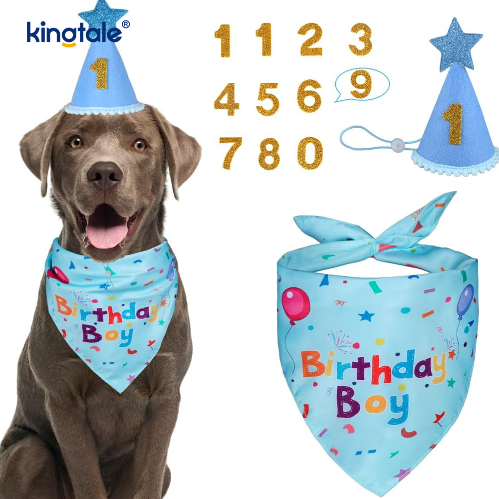 Pet Birthday Bandana Set