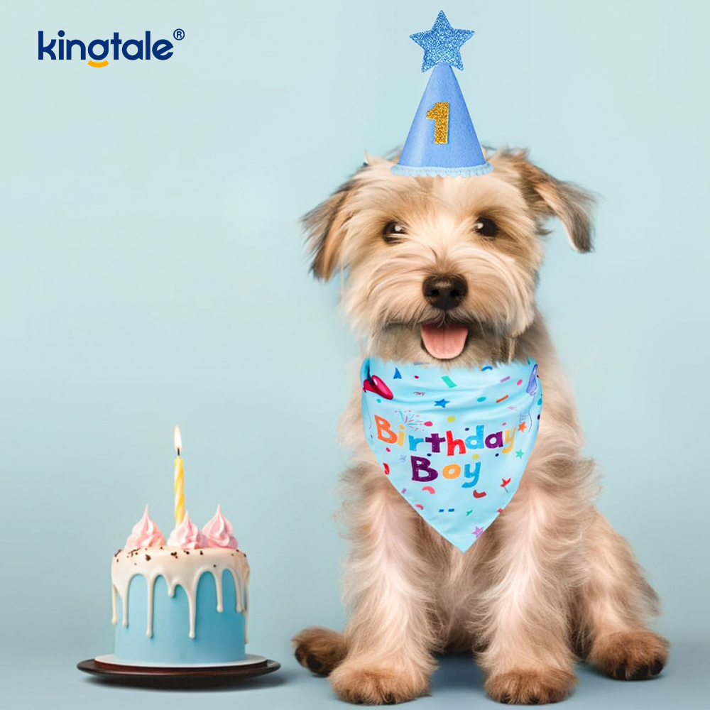 Pet Birthday Bandana Set