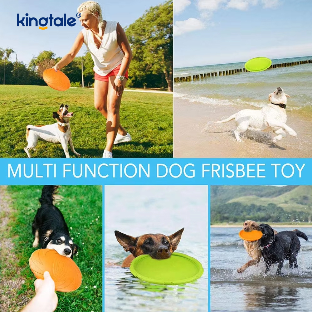 Pet Frisbee