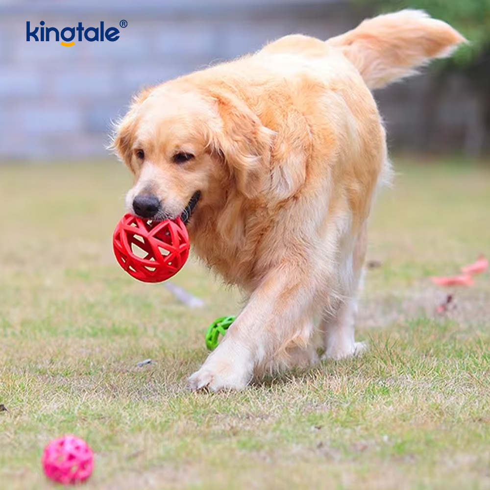 Pet Hollow Rubber Toy Ball