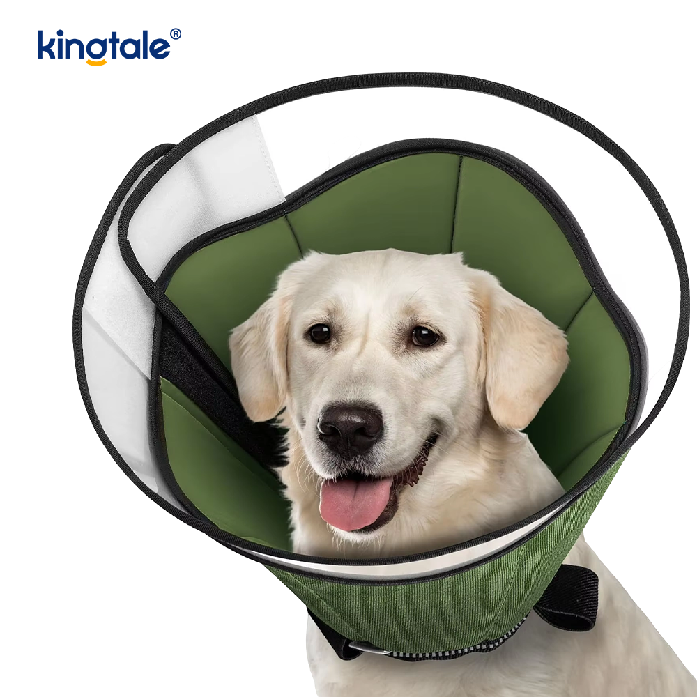 Soft Dog Cone para sa Mga Aso Pagkatapos ng Surgery