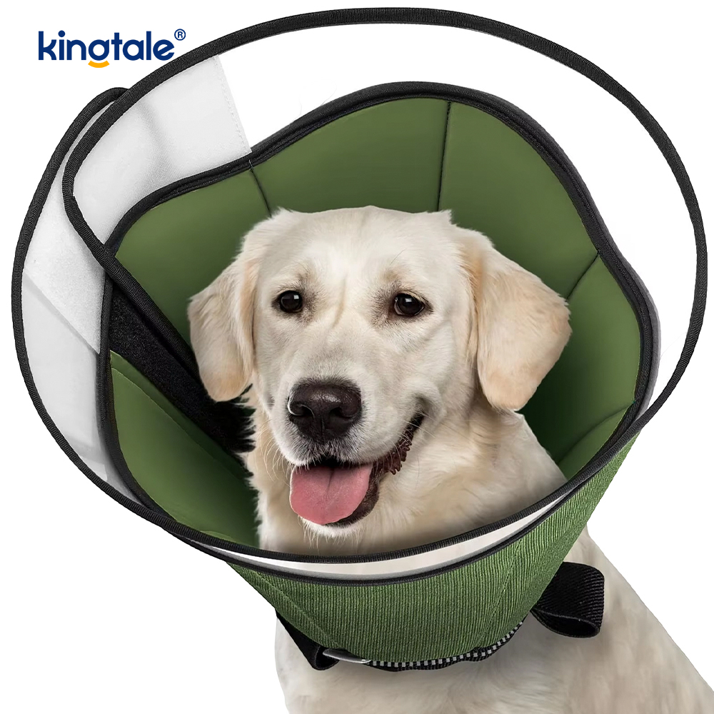 Soft Dog Cone para sa Mga Aso Pagkatapos ng Surgery