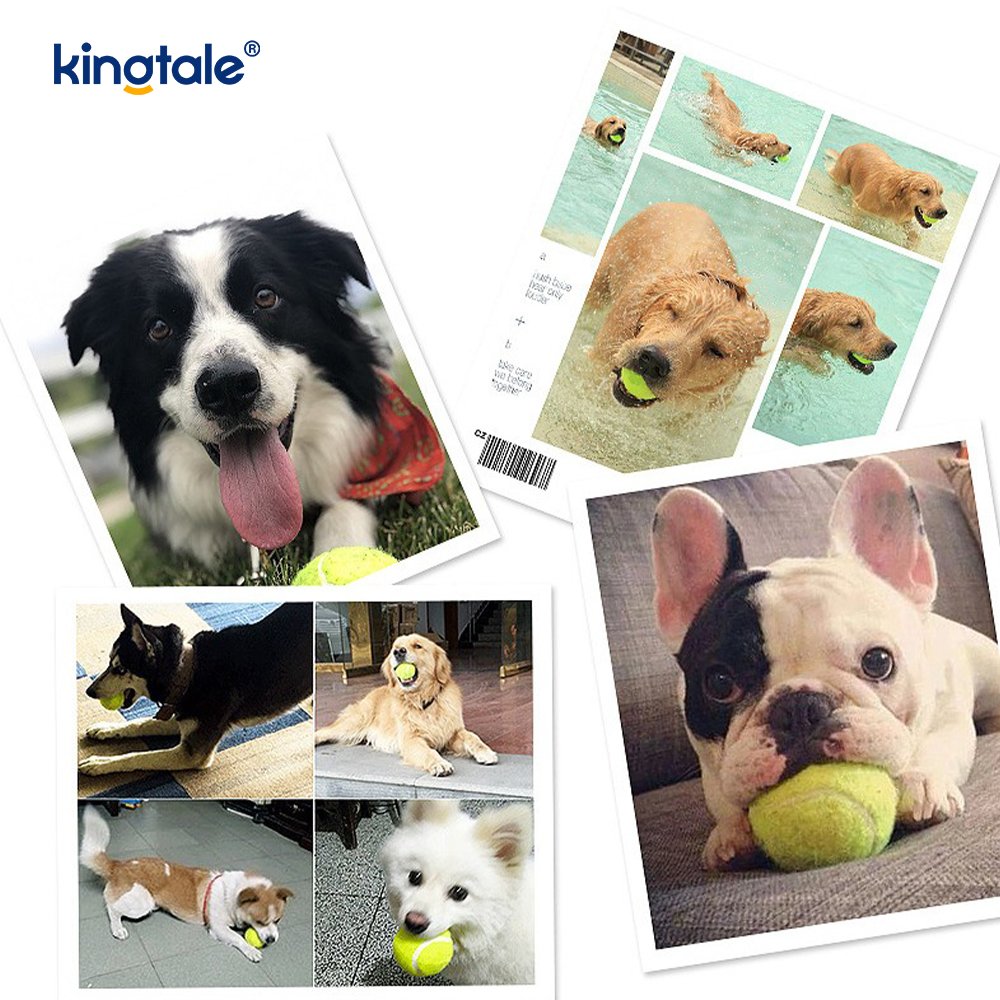 Pet Toy Tennis Matibay at hindi makagat para sa Pet Chew Exercise Interactive