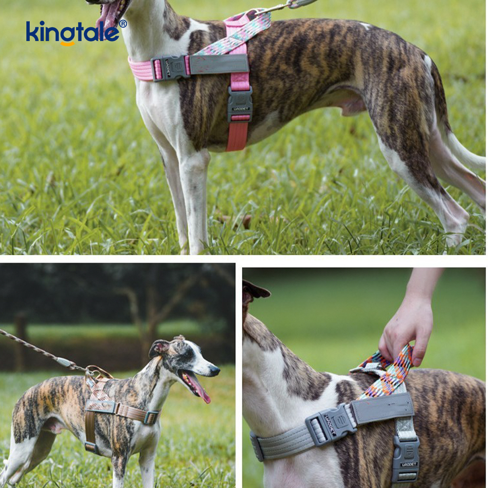 Binuo na Braid Nylon Webbing Highlight Reflective Dog Harness