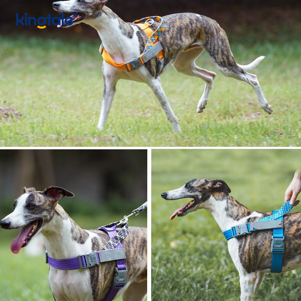 Binuo na Braid Nylon Webbing Highlight Reflective Dog Harness