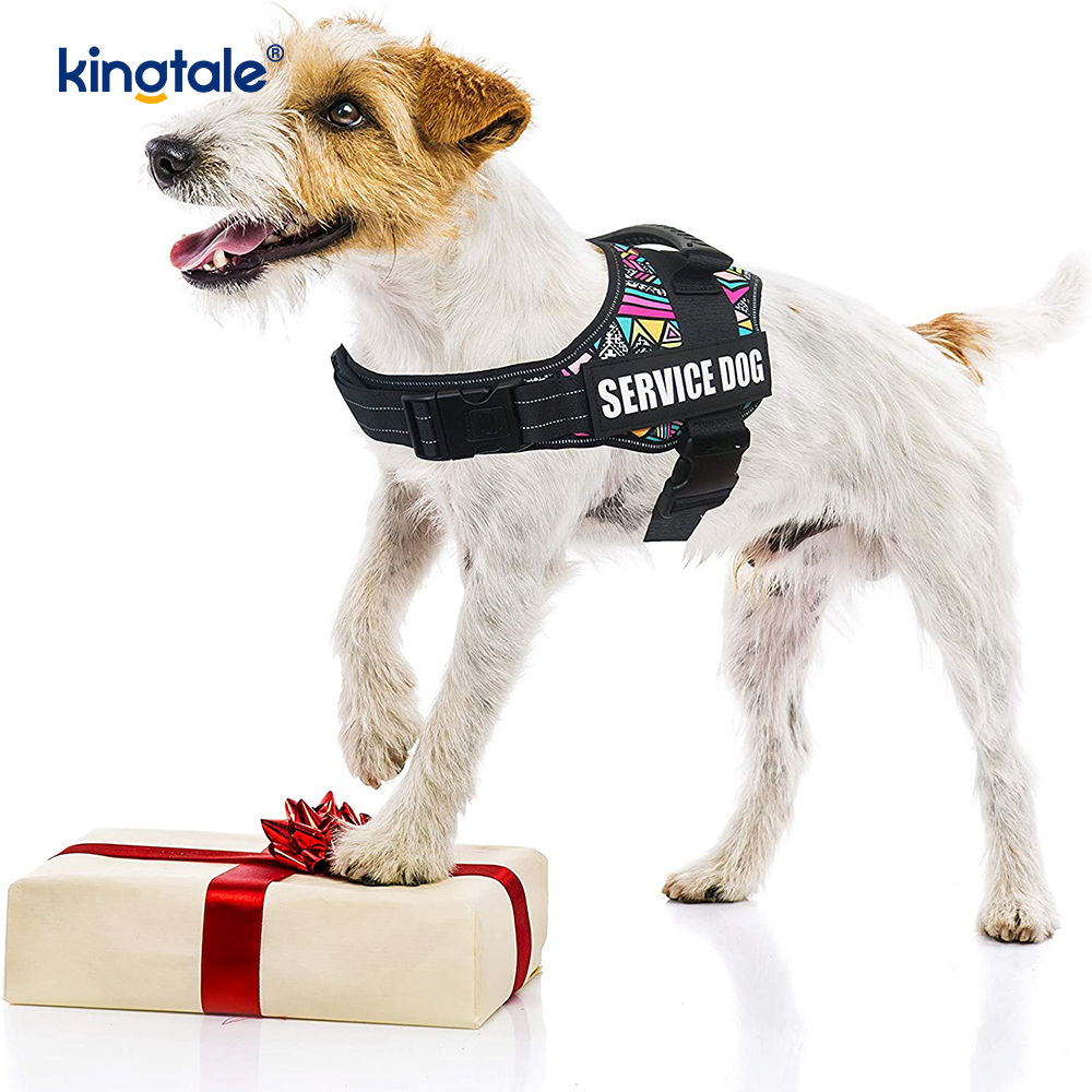 Walang Pull Reflective Designer Dog Harness Solid Nylon Rope Dog Leash