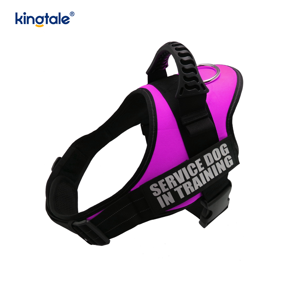 Walang Pull Reflective Designer Dog Harness Solid Nylon Rope Dog Leash