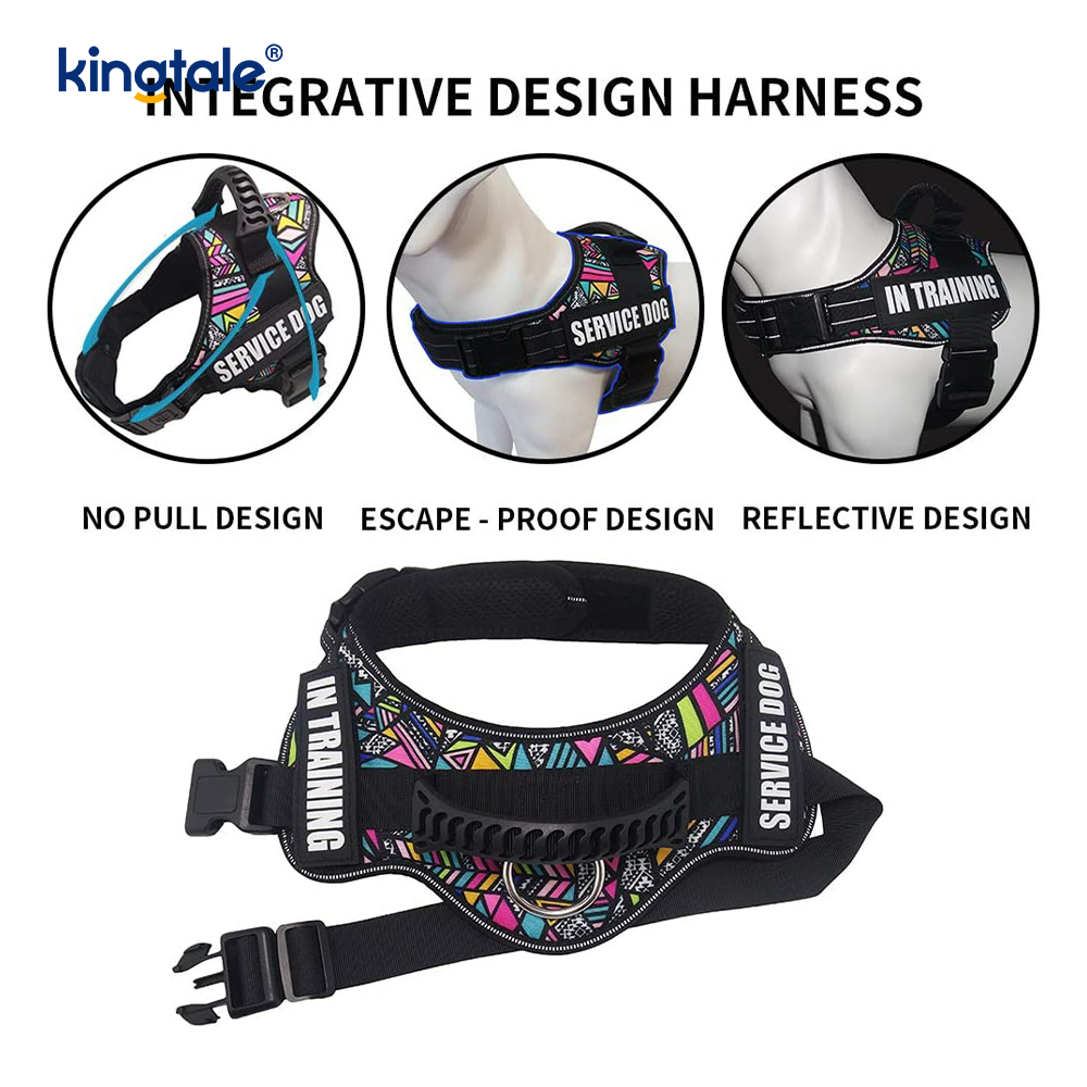 Walang Pull Reflective Designer Dog Harness Solid Nylon Rope Dog Leash