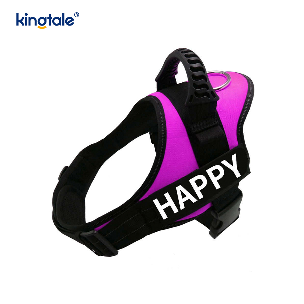 Walang Pull Reflective Designer Dog Harness Solid Nylon Rope Dog Leash