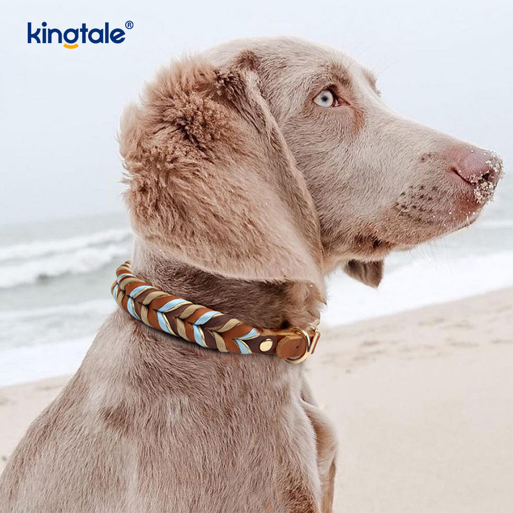 Genuine Leather Pet Collars at Leashes Dog Rope Collar at Leash Set