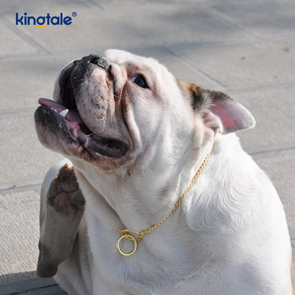 Pure Copper Metal Snake Dog Chain Collar Para sa Maliit at Katamtamang Aso