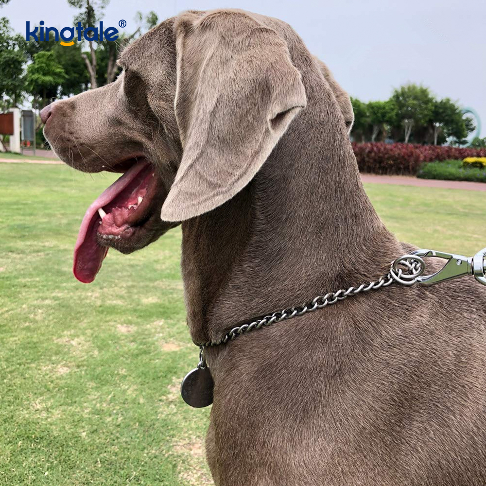 Metal Training Dog Choke Collar Slip P Chain Heavy Chain Para sa Mga Aso