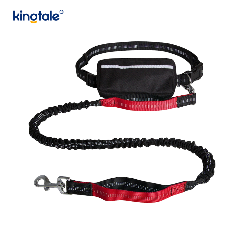 Reflective Elastic Double Running Pet Leash na May Zipper Pouch