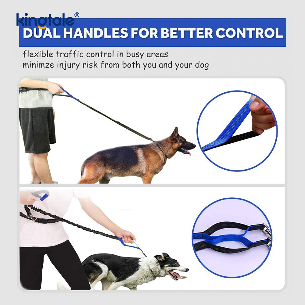 Reflective Elastic Double Running Pet Leash na May Zipper Pouch