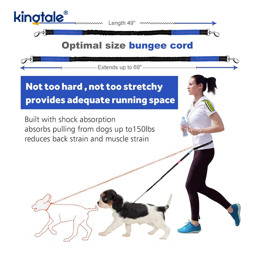 Reflective Elastic Double Running Pet Leash na May Zipper Pouch