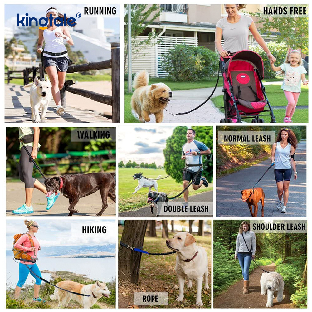 Reflective Elastic Double Running Pet Leash na May Zipper Pouch