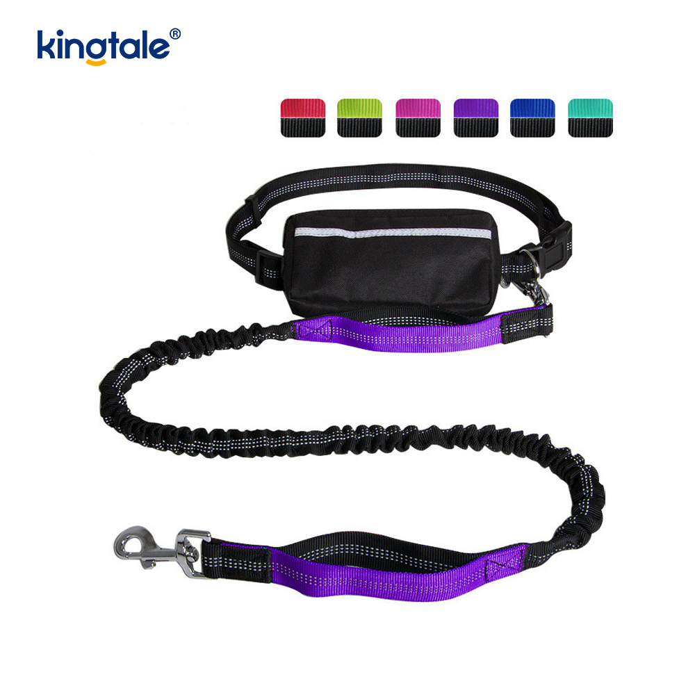 Reflective Elastic Double Running Pet Leash na May Zipper Pouch