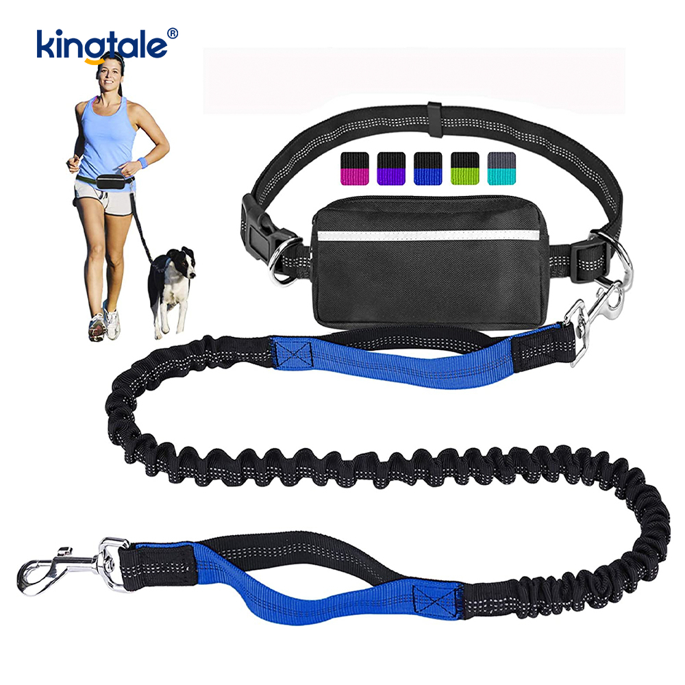 Reflective Elastic Double Running Pet Leash na May Zipper Pouch