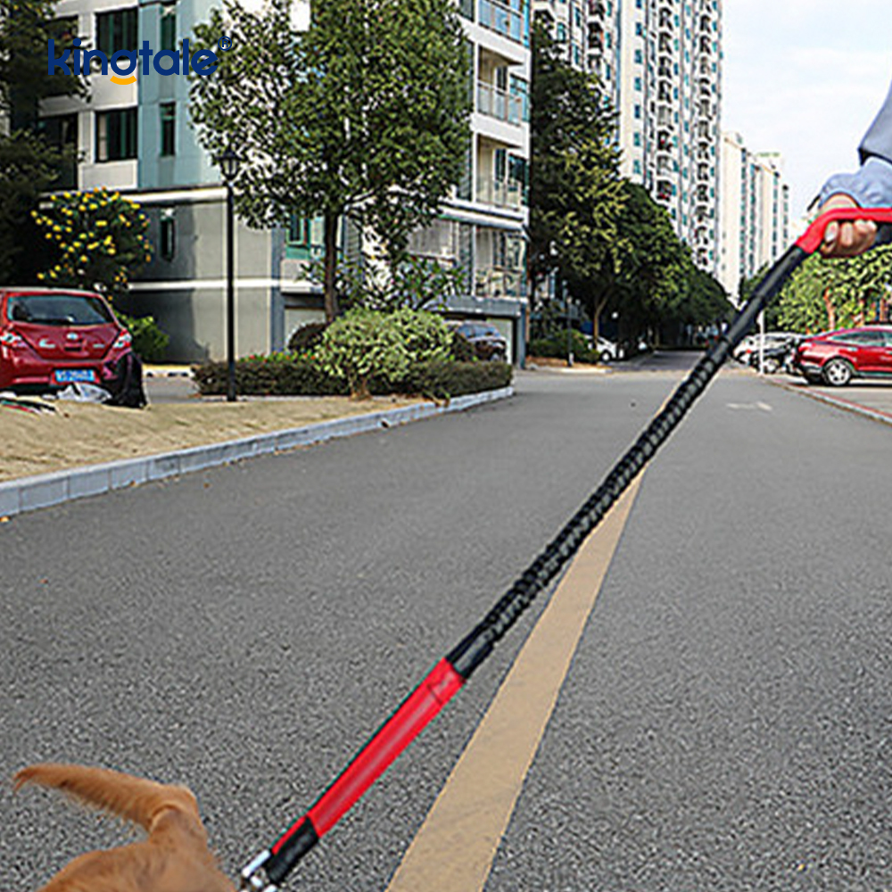 Reflective Elastic Double Running Pet Leash na May Zipper Pouch