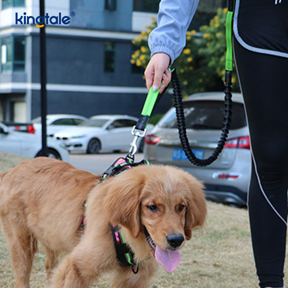 Reflective Elastic Double Running Pet Leash na May Zipper Pouch