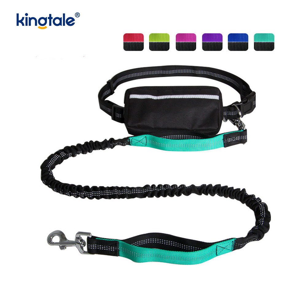 Reflective Elastic Double Running Pet Leash na May Zipper Pouch