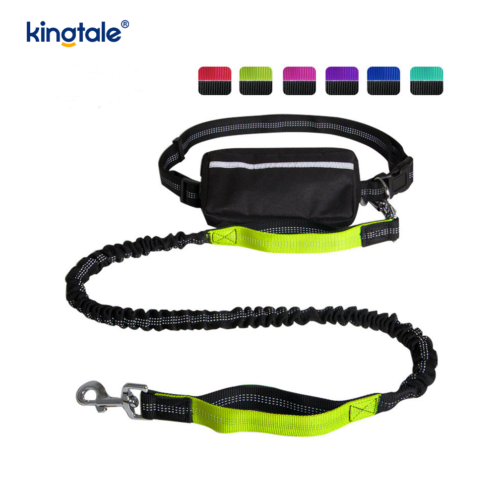 Reflective Elastic Double Running Pet Leash na May Zipper Pouch