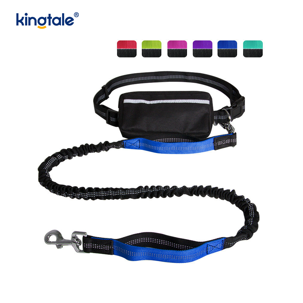 Reflective Elastic Double Running Pet Leash na May Zipper Pouch