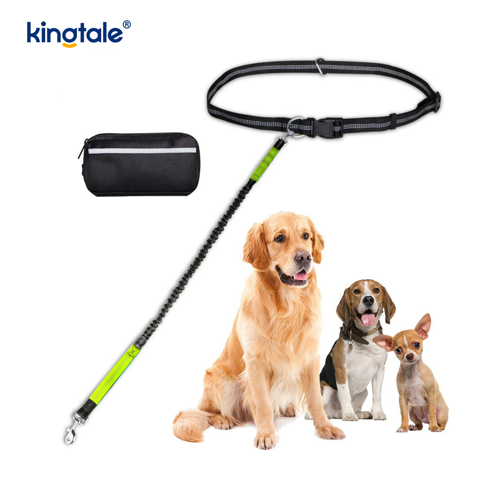 Reflective Elastic Double Running Pet Leash na May Zipper Pouch