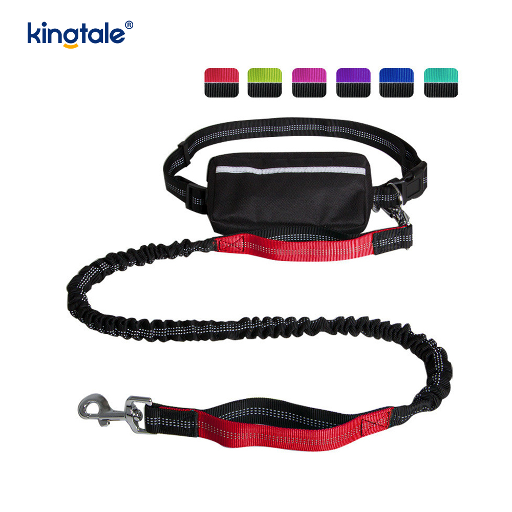 Reflective Elastic Double Running Pet Leash na May Zipper Pouch