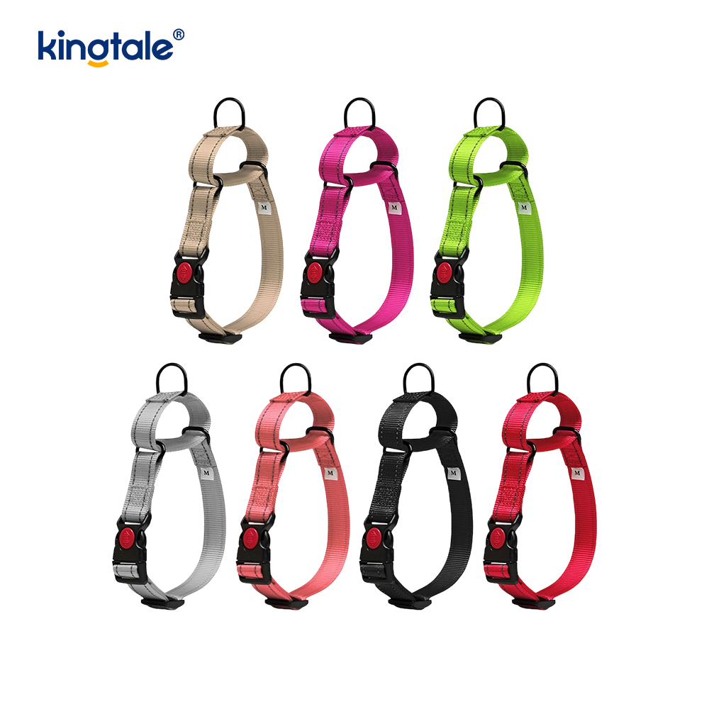 Walang Pull Reflective Adjustable Nylon Martingale Dog Collar Para sa S M A L L Dogs