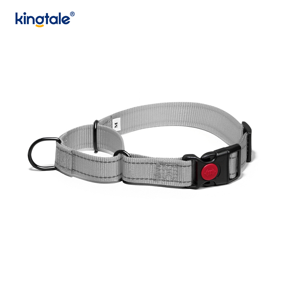 Walang Pull Reflective Adjustable Nylon Martingale Dog Collar Para sa S M A L L Dogs