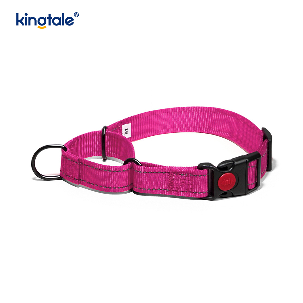 Walang Pull Reflective Adjustable Nylon Martingale Dog Collar Para sa S M A L L Dogs