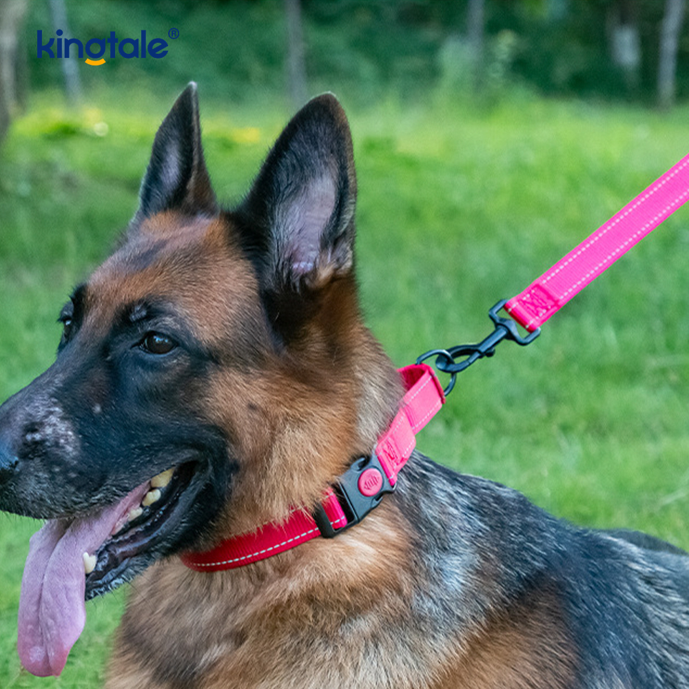 Walang Pull Reflective Adjustable Nylon Martingale Dog Collar Para sa S M A L L Dogs