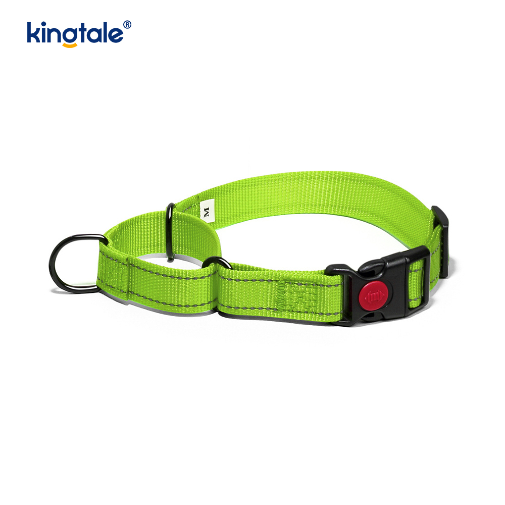 Walang Pull Reflective Adjustable Nylon Martingale Dog Collar Para sa S M A L L Dogs