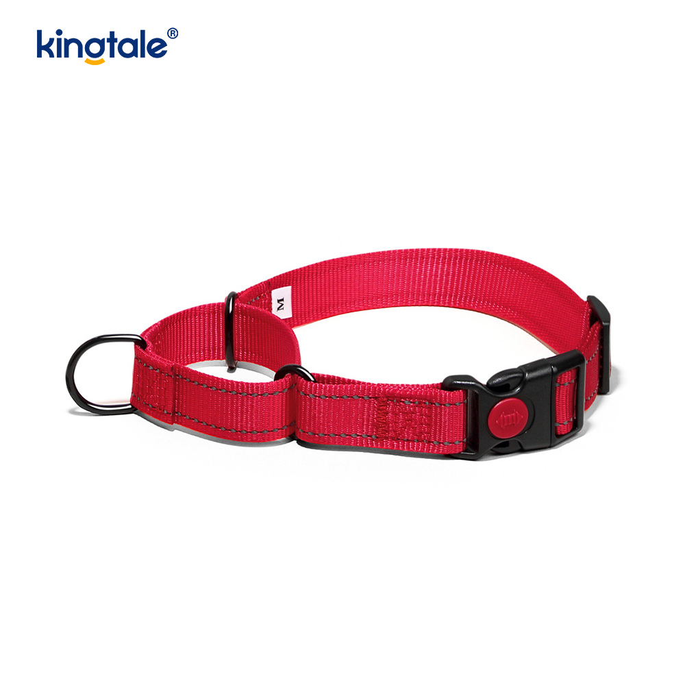 Walang Pull Reflective Adjustable Nylon Martingale Dog Collar Para sa S M A L L Dogs