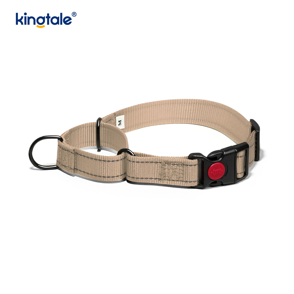 Walang Pull Reflective Adjustable Nylon Martingale Dog Collar Para sa S M A L L Dogs