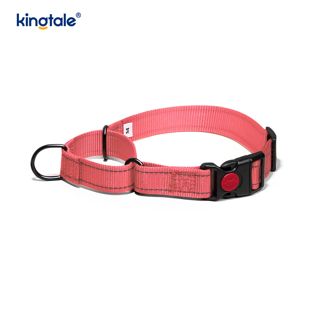 Walang Pull Reflective Adjustable Nylon Martingale Dog Collar Para sa S M A L L Dogs