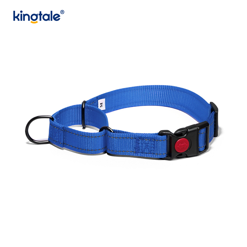Walang Pull Reflective Adjustable Nylon Martingale Dog Collar Para sa S M A L L Dogs