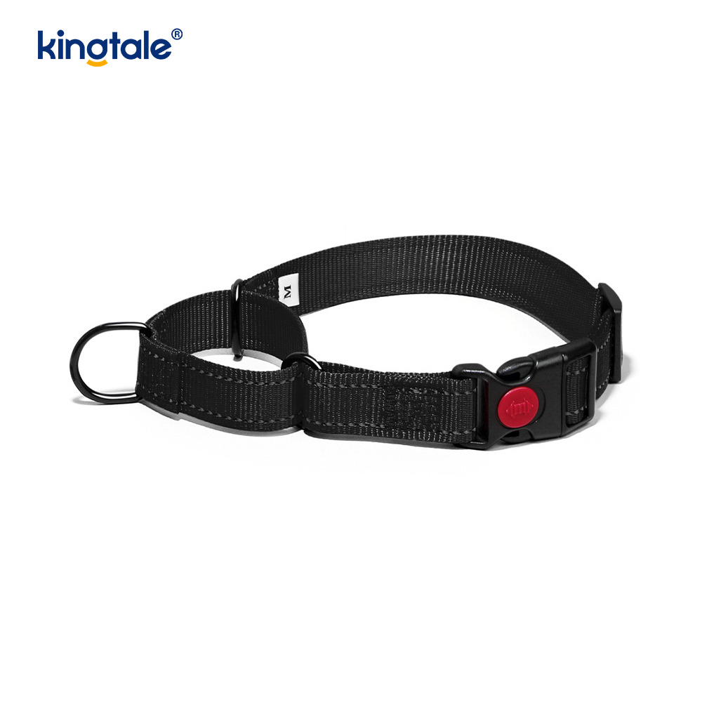 Walang Pull Reflective Adjustable Nylon Martingale Dog Collar Para sa S M A L L Dogs