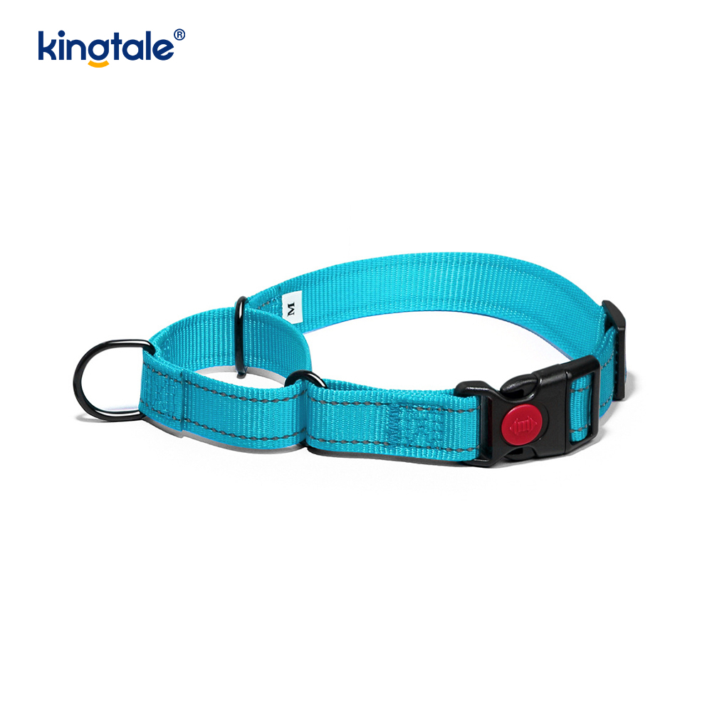 Walang Pull Reflective Adjustable Nylon Martingale Dog Collar Para sa S M A L L Dogs