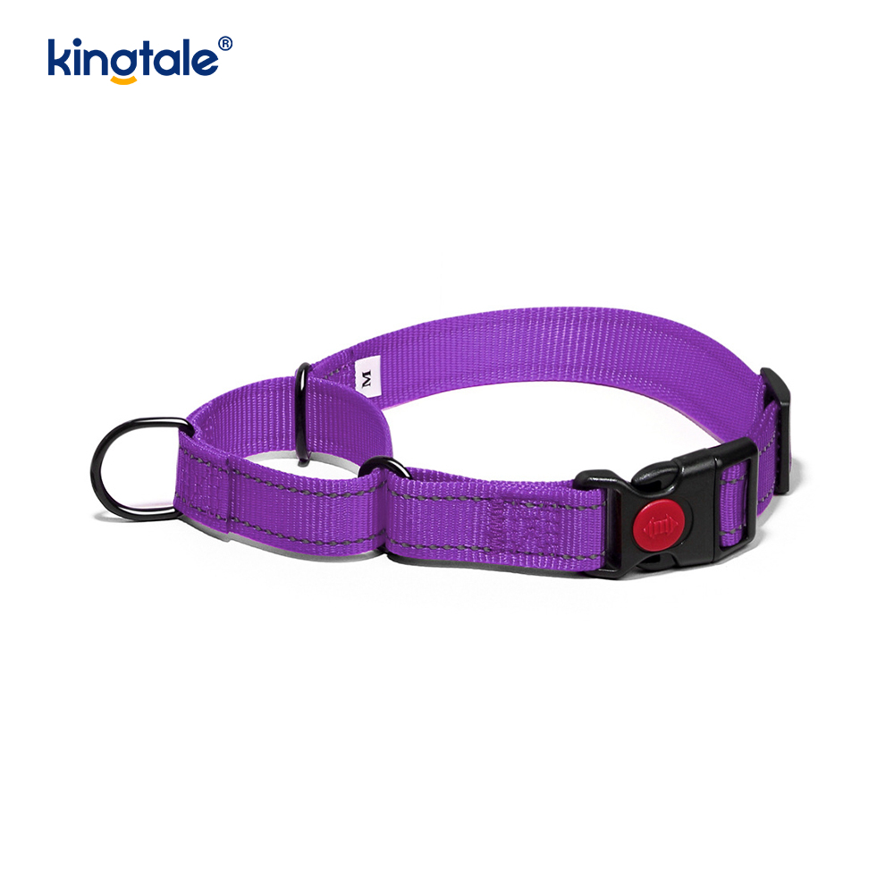 Walang Pull Reflective Adjustable Nylon Martingale Dog Collar Para sa S M A L L Dogs