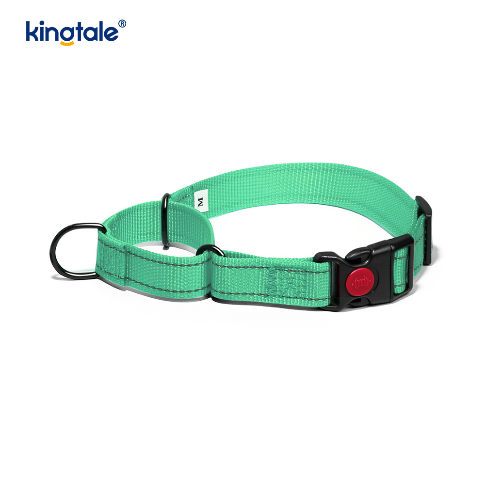 Walang Pull Reflective Adjustable Nylon Martingale Dog Collar Para sa S M A L L Dogs