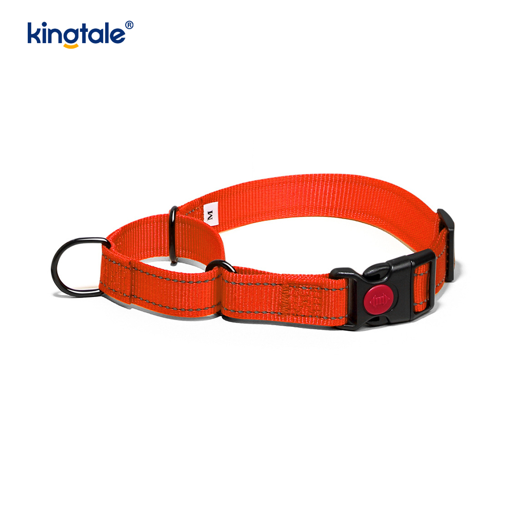 Walang Pull Reflective Adjustable Nylon Martingale Dog Collar Para sa S M A L L Dogs
