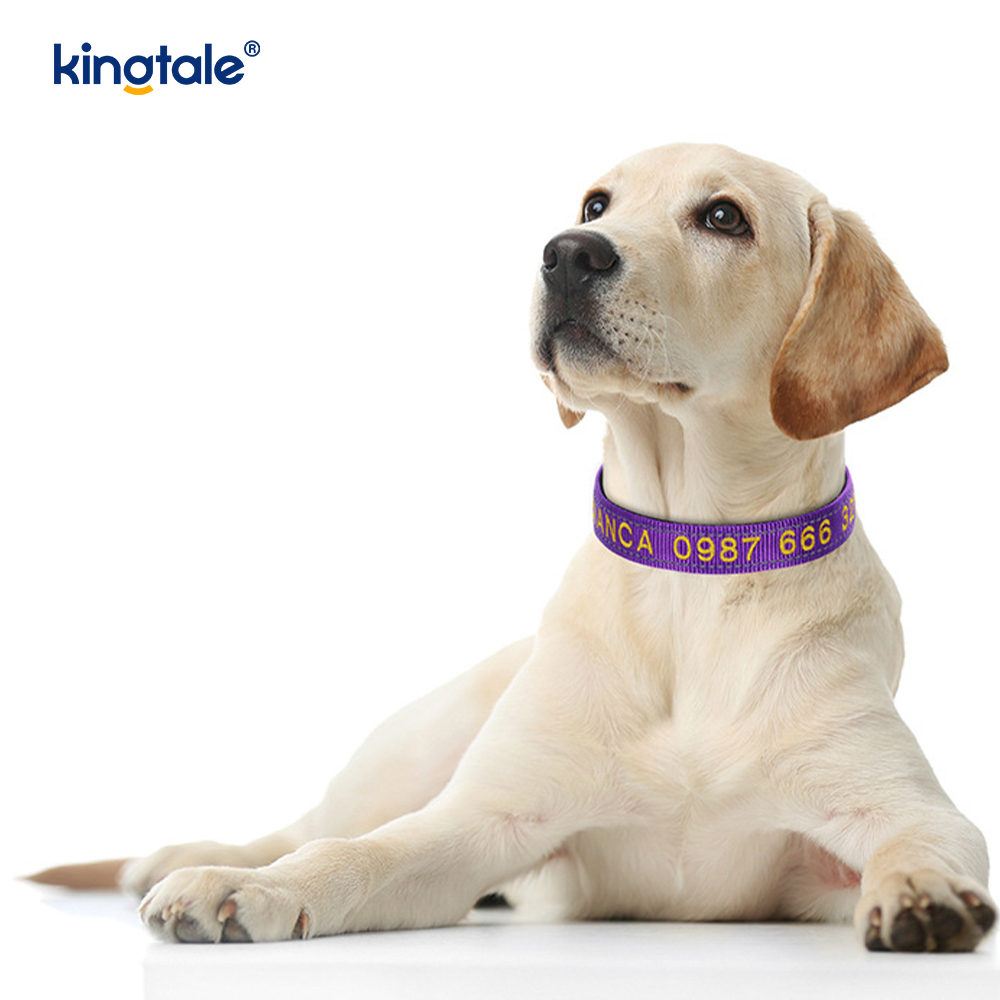 Serbisyo ng Dog Collar Coded Buckle Design Para sa Pag-iwas sa Aksidente Nagbabala