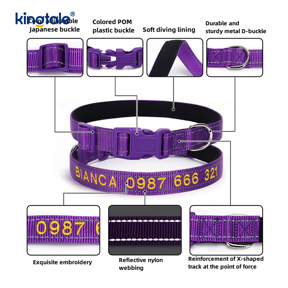 Serbisyo ng Dog Collar Coded Buckle Design Para sa Pag-iwas sa Aksidente Nagbabala