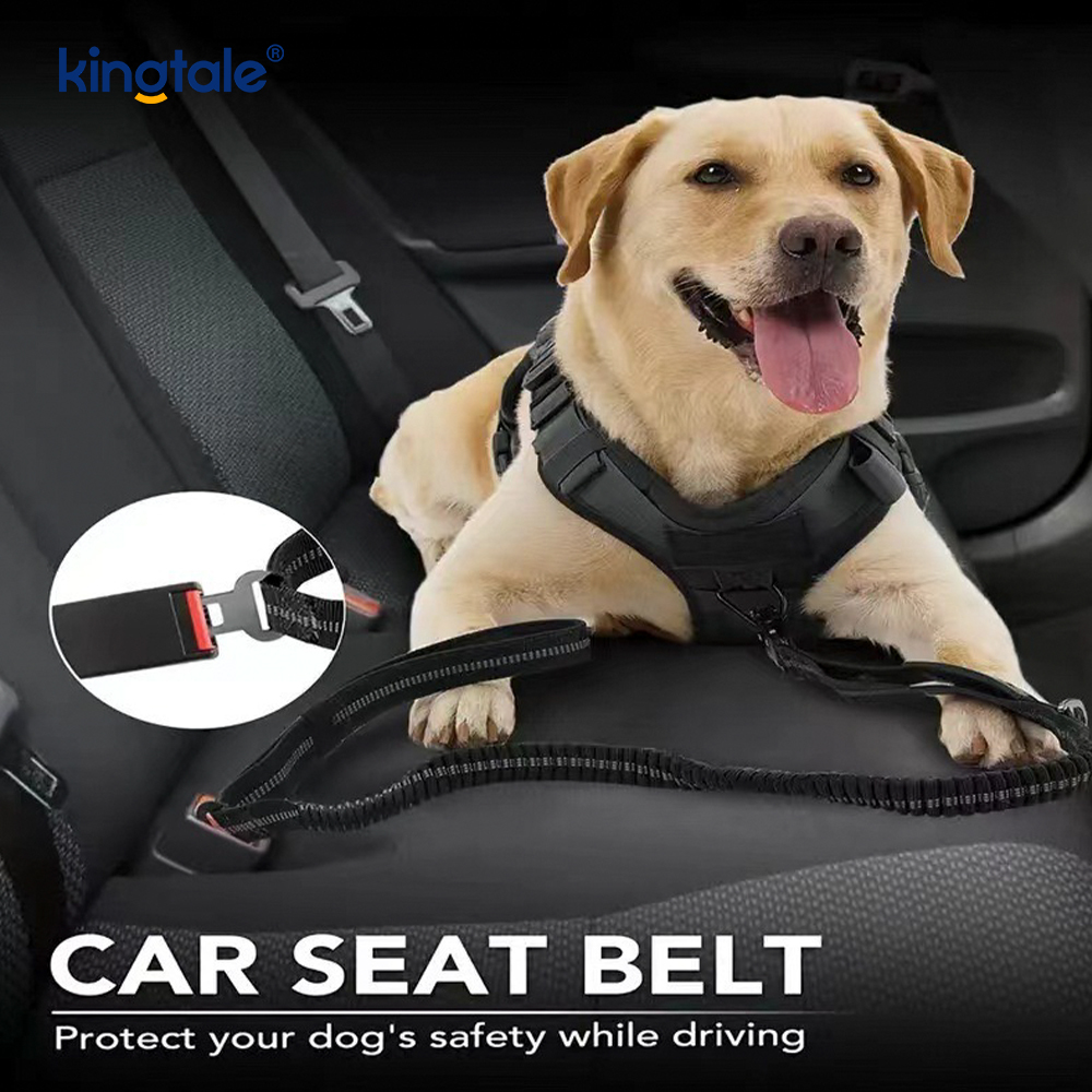 4 In 1 Heavy Duty Dog Lead na May Car Seat Belt At Soft Padded Handle