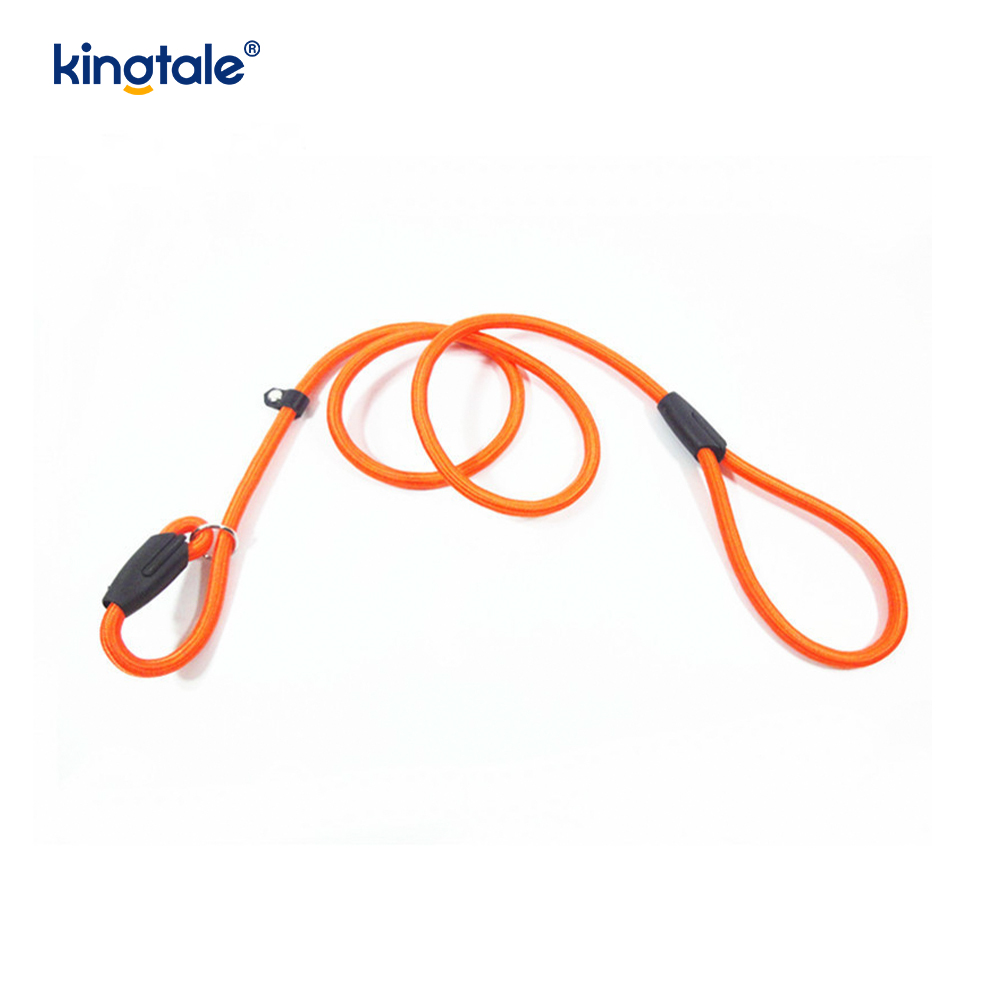 Slip Lead Dog Leash Strong Nylon Rope Leash Dog Training Lead Para sa Mga Alagang Hayop