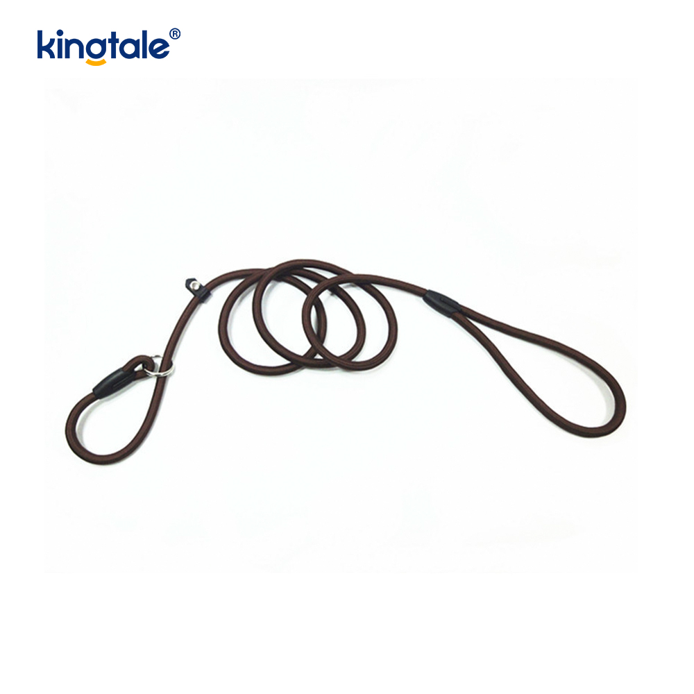 Slip Lead Dog Leash Strong Nylon Rope Leash Dog Training Lead Para sa Mga Alagang Hayop