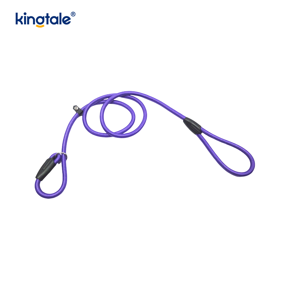 Slip Lead Dog Leash Strong Nylon Rope Leash Dog Training Lead Para sa Mga Alagang Hayop