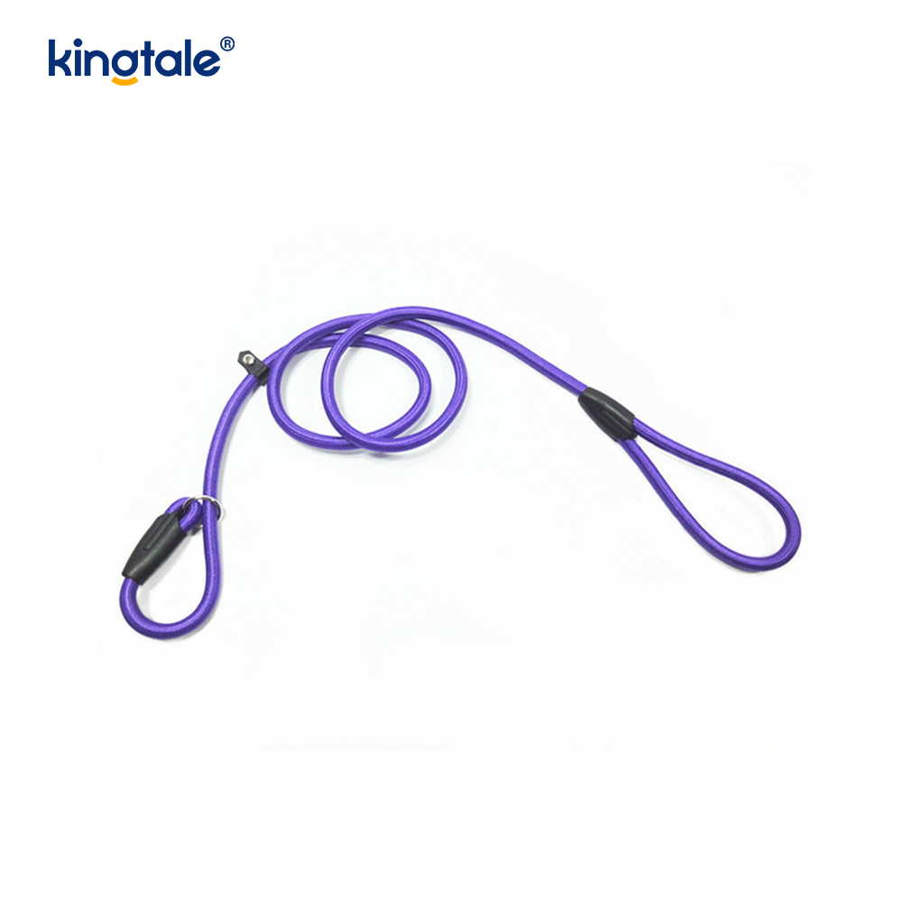 Slip Lead Dog Leash Strong Nylon Rope Leash Dog Training Lead Para sa Mga Alagang Hayop